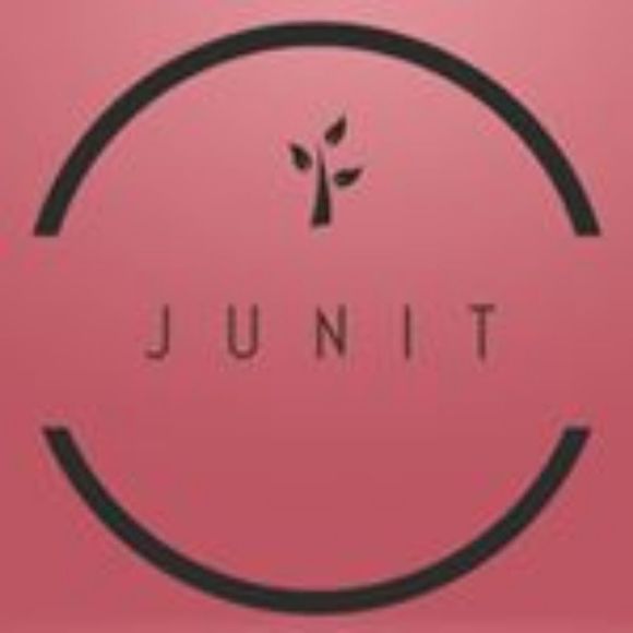 junit241